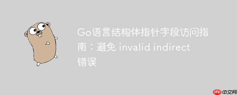 go语言结构体指针字段访问指南:避免 invalid indirect 错误