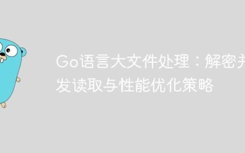 Go语言大文件处理：解密并发读取与性能优化策略