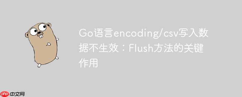 Go语言encoding/csv写入数据不生效:Flush方法的关键作用