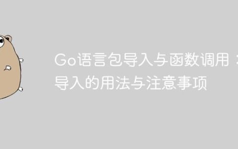 Go语言包导入与函数调用：点导入的用法与注意事项