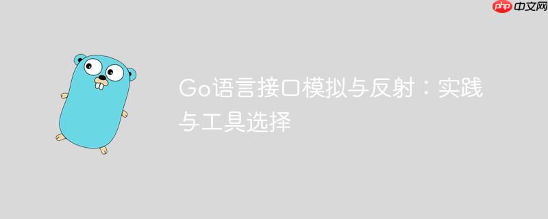 Go语言接口模拟与反射:实践与工具选择