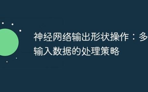 神经网络输出形状操作：多维输入数据的处理策略