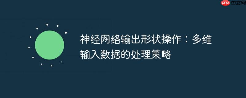 神经网络输出形状操作:多维输入数据的处理策略