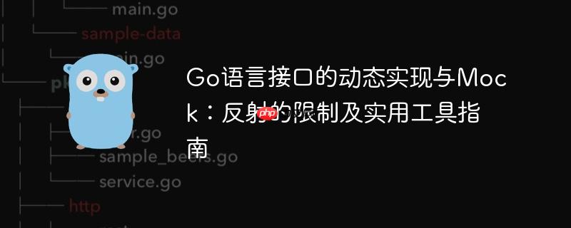 Go语言接口的动态实现与Mock:反射的限制及实用工具指南