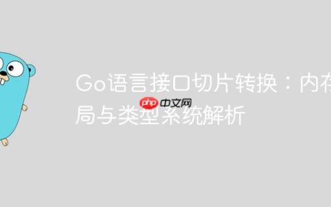 Go语言接口切片转换：内存布局与类型系统解析