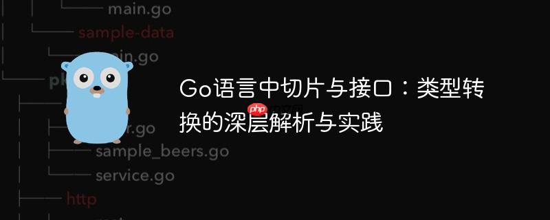 Go语言中切片与接口:类型转换的深层解析与实践