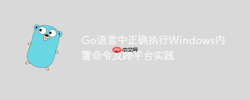 Go语言中正确执行Windows内置命令及跨平台实践