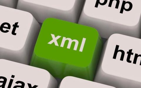 XML格式的医疗影像数据标准
