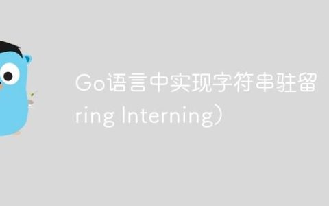 Go语言中实现字符串驻留（String Interning）