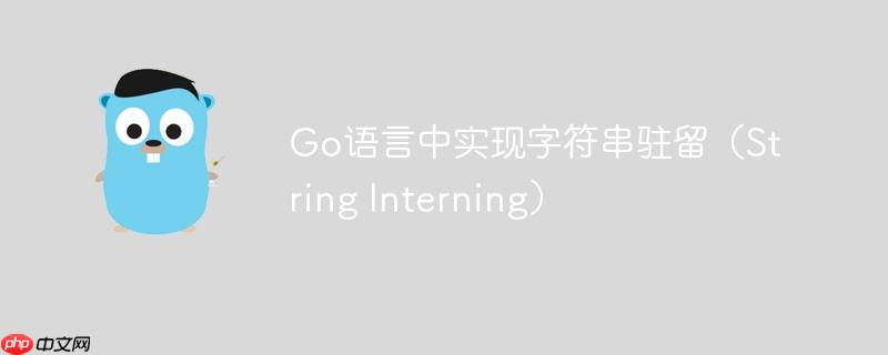 go语言中实现字符串驻留（string interning）