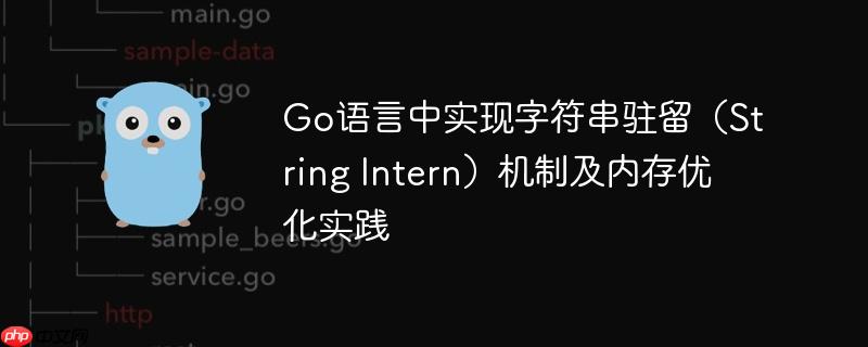 Go语言中实现字符串驻留(String Intern)机制及内存优化实践