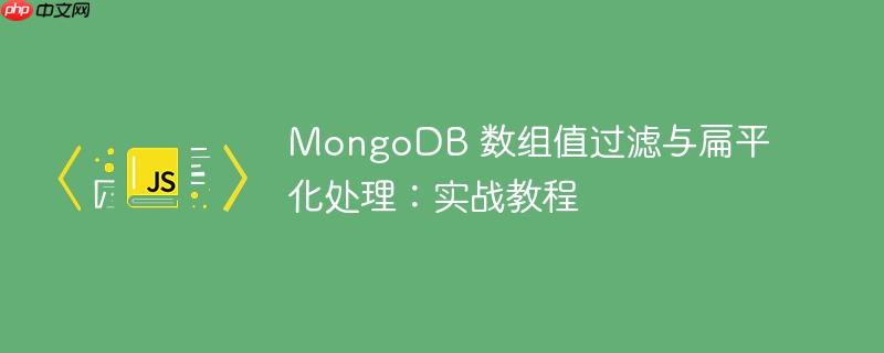 mongodb 数组值过滤与扁平化处理:实战教程