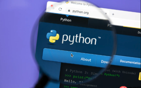 Python 使用生成器表达式节省内存