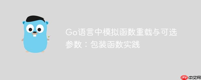 Go语言中模拟函数重载与可选参数:包装函数实践