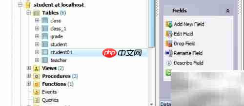 Maestro检查数据库表方法