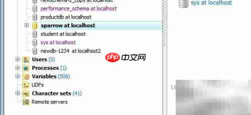 Maestro检查数据库表方法