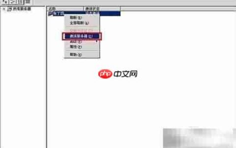激活Win Server 2003终端服务