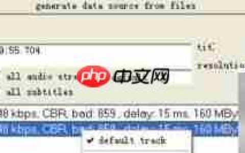 DVDRIP压制技巧全解析
