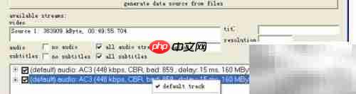 DVDRIP压制技巧全解析