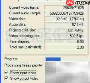 DVDRIP压制技巧全解析