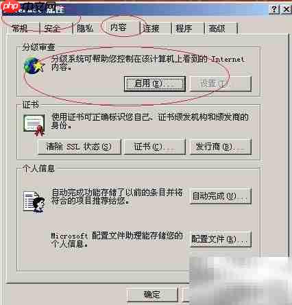Win2003启用IE分级审查