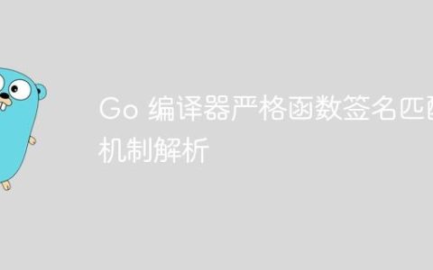 Go 编译器严格函数签名匹配机制解析