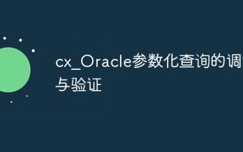 cx_Oracle参数化查询的调试与验证