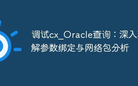 调试cx_Oracle查询：深入理解参数绑定与网络包分析