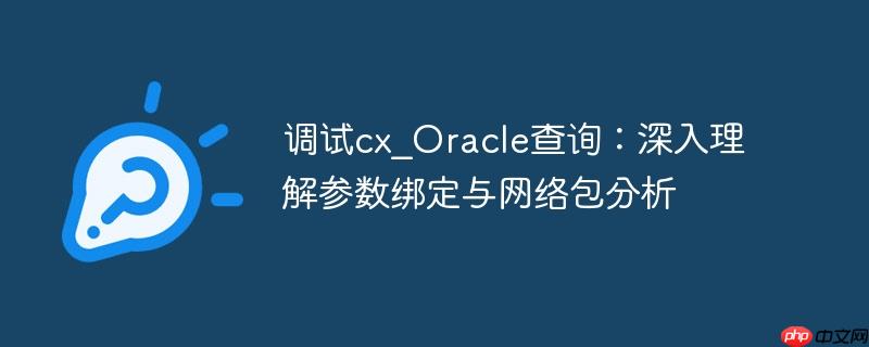 调试cx_oracle查询：深入理解参数绑定与网络包分析