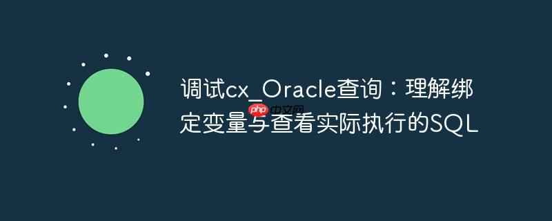 调试cx_oracle查询:理解绑定变量与查看实际执行的sql