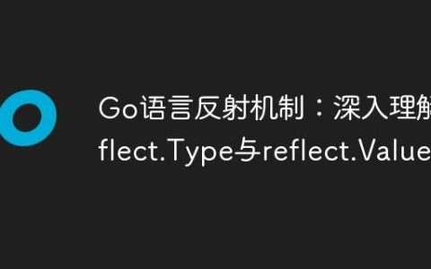 Go语言反射机制：深入理解reflect.Type与reflect.Value