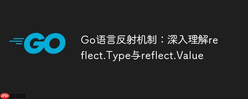 go语言反射机制:深入理解reflect.type与reflect.value