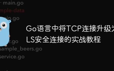 Go语言中将TCP连接升级为TLS安全连接的实战教程