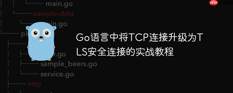 go语言中将tcp连接升级为tls安全连接的实战教程