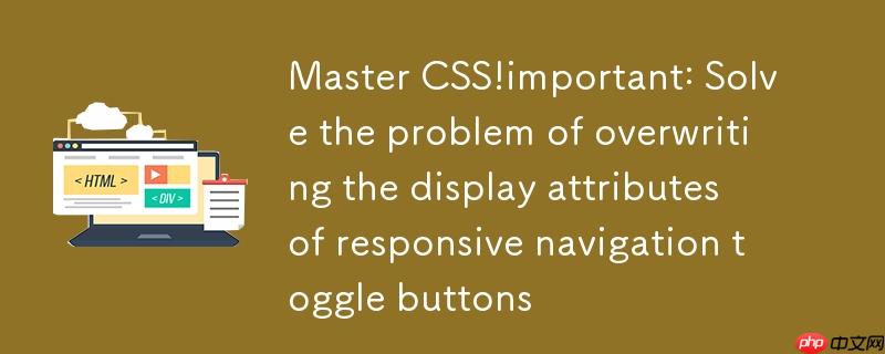 掌握CSS !important:解决响应式导航切换按钮的显示属性覆盖难题
