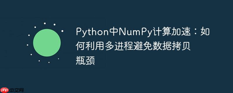 Python中NumPy计算加速：如何利用多进程避免数据拷贝瓶颈