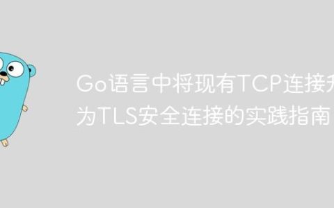 Go语言中将现有TCP连接升级为TLS安全连接的实践指南