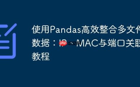 使用Pandas高效整合多文件数据：IP、MAC与端口关联教程