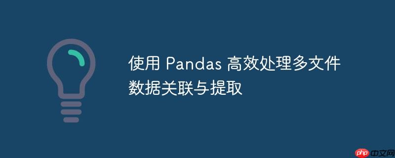 使用 Pandas 高效处理多文件数据关联与提取