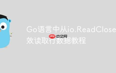 Go语言中从io.ReadCloser高效读取行数据教程