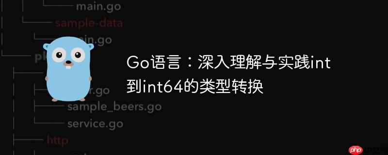 Go语言:深入理解与实践int到int64的类型转换