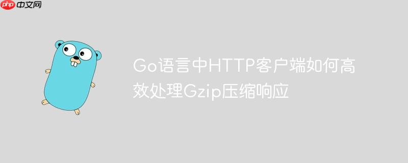 Go语言中HTTP客户端如何高效处理Gzip压缩响应