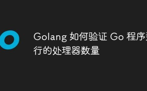 Golang 如何验证 Go 程序运行的处理器数量