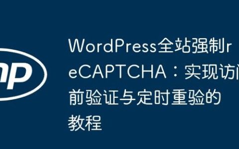 WordPress全站强制reCAPTCHA：实现访问前验证与定时重验的教程