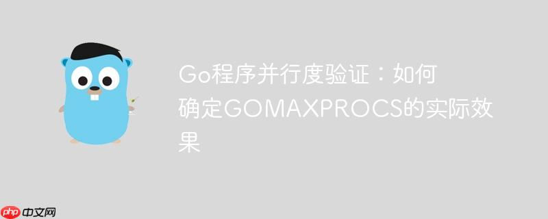 Go程序并行度验证:如何确定GOMAXPROCS的实际效果