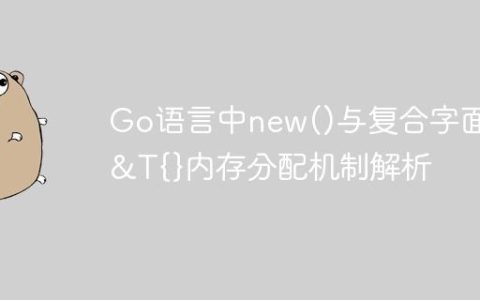 Go语言中new()与复合字面量&T{}内存分配机制解析