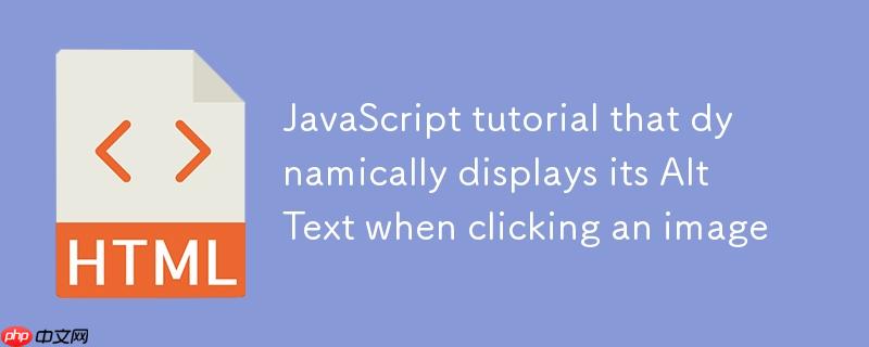在点击图片时动态显示其替代文本(Alt Text)的JavaScript教程