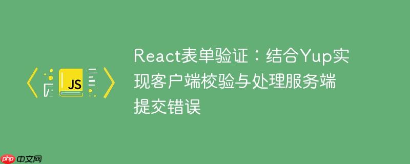 react表单验证:结合yup实现客户端校验与处理服务端提交错误