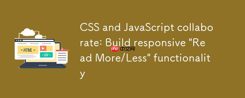 css与javascript协同:构建响应式“阅读更多/更少”功能
