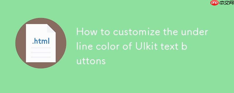 如何自定义 uikit 文本按钮的下划线颜色